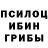 Галлюциногенные грибы мицелий Demons Blazer