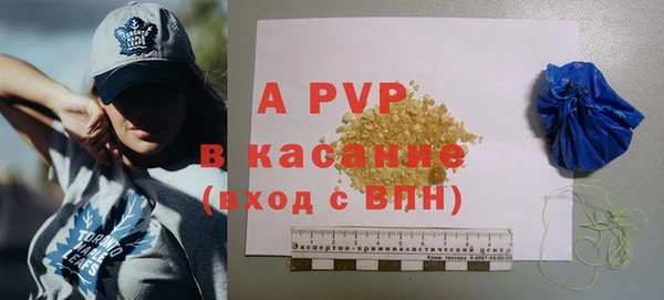 амф Белокуриха