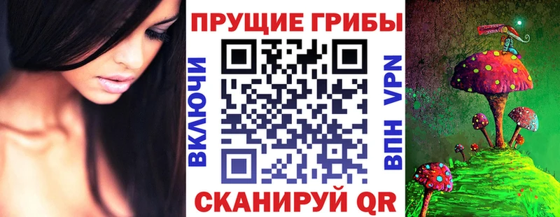 Псилоцибиновые грибы мухоморы Кузнецк