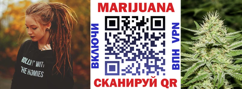 МАРИХУАНА семена  Кузнецк 